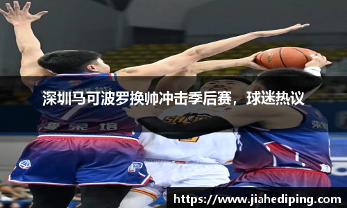 Bsports体育官网