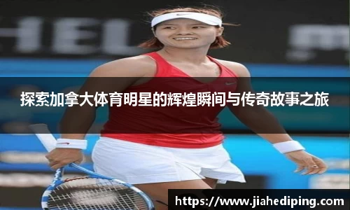 Bsports必一体育